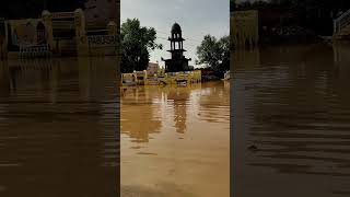 पाबूसर में बारिश के पानी से रास्ते जाम 🌧️ #barish #trending #pabusar #villagelife #nonfollowers 