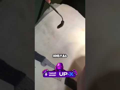 В носике кота нашли это