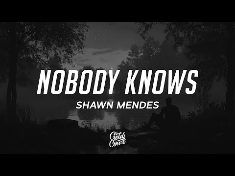 Shawn Mendes - Nobody Knows (Lyrics)