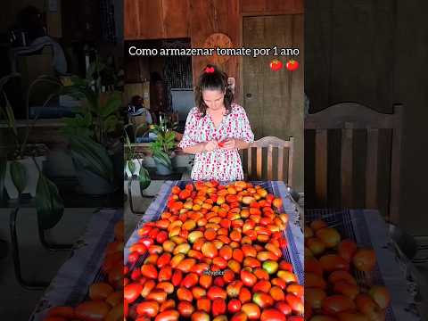 Como eu armazeno tomate por até um ano no congelador 🍅🍅🍅