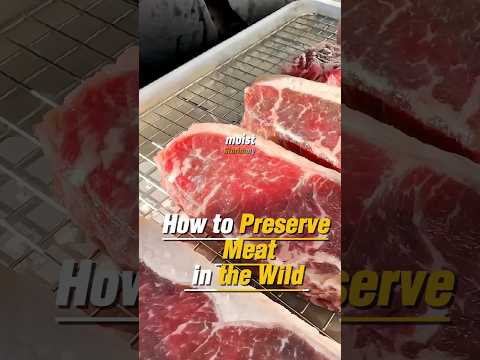 Joe Rogan On How To Preserve Meat In The Wild #joerogan #smokedmeat #wildlife #hunting #shorts