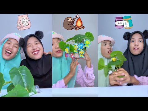 KUMPULAN DRAMA SI BAIK VS SI JAHAT!!! Berebut pohon cokelat ikan,marshmallow gemoy dan permen yupi