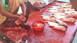 Bazar Pangash Fish Cutting | Village Life Video | Dh Bangla Media
