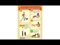 Handling Aggressive Dogs