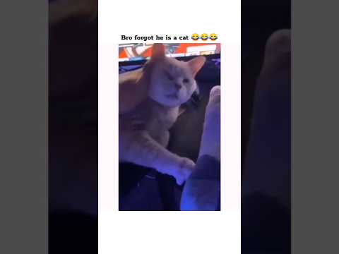 he forgot he's a cat ๐๐๐