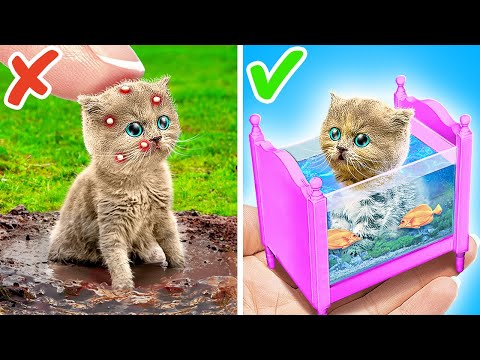I Built a Miniature Room For My Kitten 😻 *Best Hacks for Pet Owners*