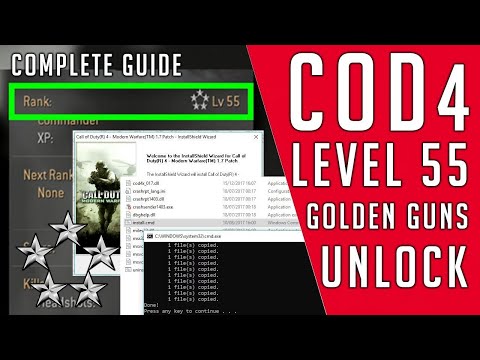 download cod4 level 55 hack