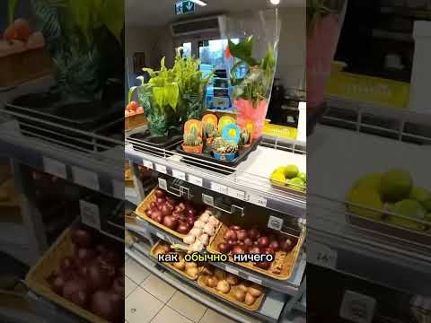 СПАС КРОЛИКА НА УЛИЦЕ #доставка #еда #доставкаеды #курьер #курьерскиебудни