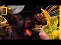 Matala Tribe Initiation Rituals