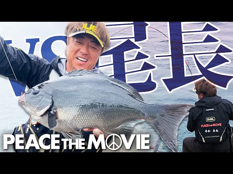 PEACE THE MOVIE #138「太地の春オナガは、日本一?カツオ島に再上陸だ!」近畿地方・和歌山県 太地の旅(後編)/平和卓也（1563）