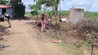 व्हिडिओ का येत नाहीत🥺काय चाललंय आमचं🤔