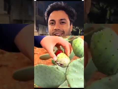 Mardoon per ye hathyacharr Q #entertainment #shorts #viral #trending #podcast  #malefacts