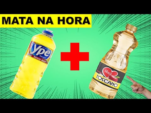 COMO ACABAR COM AS FORMIGAS EM 1 MINUTO! (USE E COMPROVE)