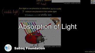 Absorption of Light