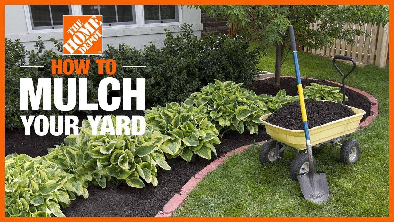 How to Mulch Your Yard