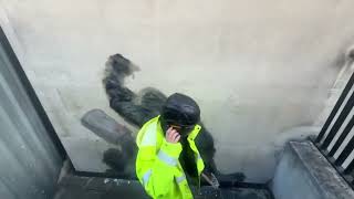 Banksy mural removed outside the Royal Court of Justice in London, UK