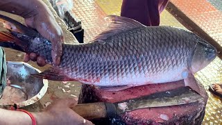 Amazing Big Rohu Fish Cutting & Chopping By Expert Fish Cutter | Fish Cutting Skills