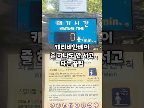 캐리비안베이 줄 하나도 안 서고 타는 꿀팁이 있다고?!