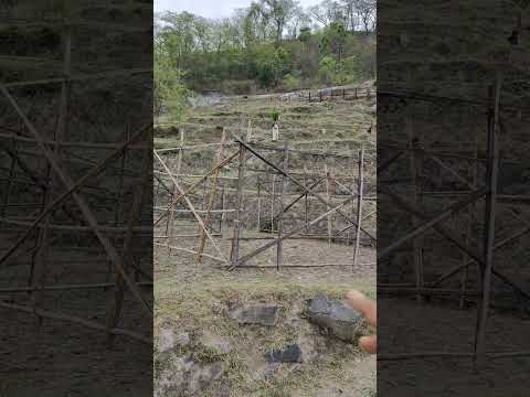 Wild Animals & Domestic Animals Living Together । जंगली जानवर और पालतू जानवर साथ साथ कैसे रहते हैं