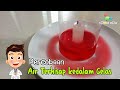 Eksperimen Lilin dan Gelas