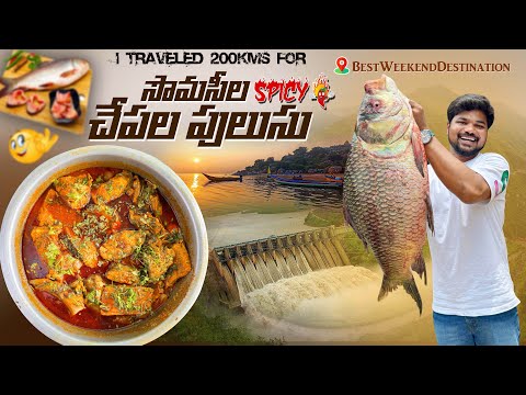 Somasila చేపల పులుసు తిననీకే 200kms పోయిన👌|Ft.5Monkeys Food #chepalapulusu #fish #food