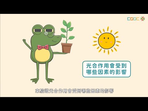 【討論】光合作用變因之探討 - YouTube