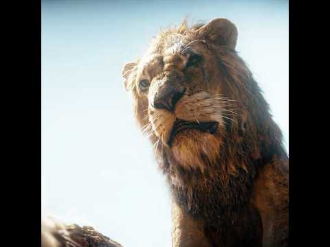#thelionking #edit #thelionking2019