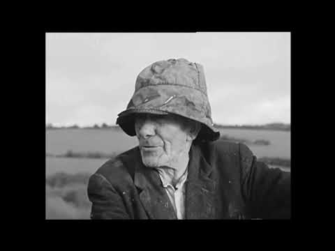 dati/mainpagelinks/Ireland language 