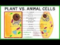Comparing Plant and Animal Cell Functions