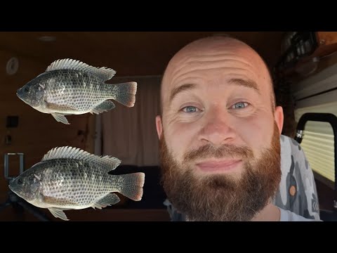 SAHTE YEMLE NASIL BALIK AVLADIM ?