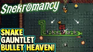 This Snake Roguelike is a Match made in (Bullet)Heaven | SnekromancY