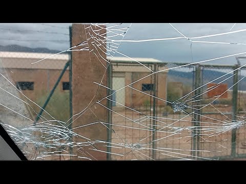 En el refugio después de la Dana ¿Cómo estarán los animales?