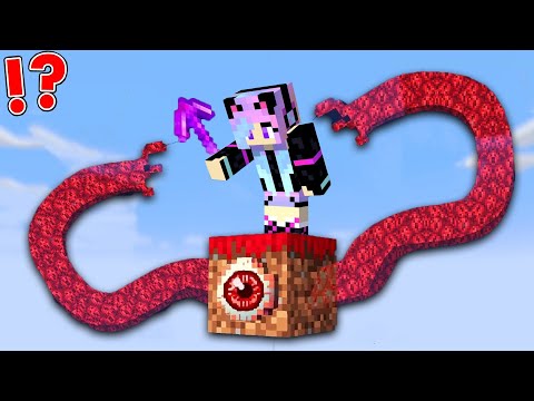 Minecraft, But It's On 1 Scary Block