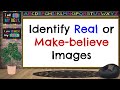 Real vs. Make-Believe Images