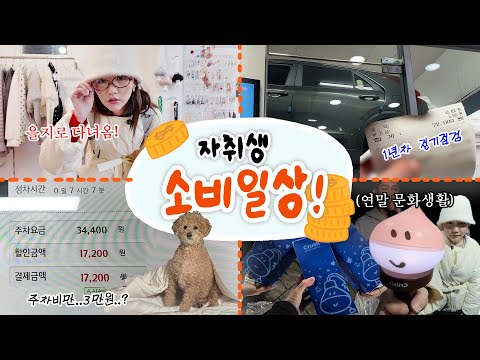 차는 편리한 돈땡이가 맞다.. 자취생 5년차의 살아있는(?) 연말 💰3일 가계부 VLOG💰 | 집 대청소,연말 콘서트,차 탄지 1년이 됐다고요?,을지로 감리,연말 명동,주차비까지