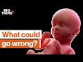 Ethical and Practical Implications of CRISPR