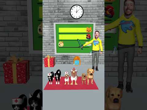 Chicken, Cat cute Vs Dog cute? Which animal can get a doctor hat for its child? #cat #dog