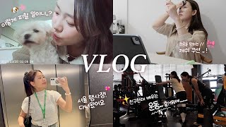 VLOG | 다이어트를 곁들인 🍱 진짜 맛있는 식단들과 홈트 추천 ,그리고 그냥 일상!