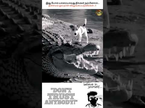 Don't Trust Blindly..🥹💯 |Tamil Motivational speech| #trust #believe #sad #motivation #shorts #trend