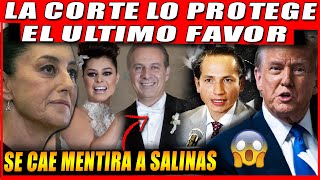 LA CORTE LOS PROTEGE, EL ULTIMO FAVOR DE NORMA PIÑA, LE TUMBAN EL SHOW A SALINAS PLIEGO