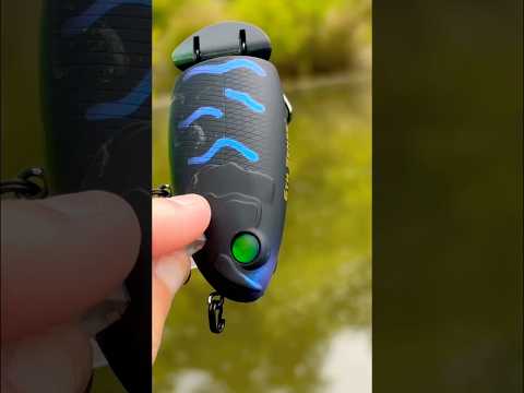 Fishing A Lure Everyone FORGOT…