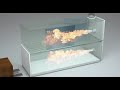 Cremation Process and Environmental Impact