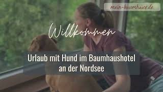 Mit Hund Baumhaushotel in Niedersachsen mieten
