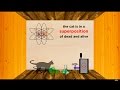 Quantum Mechanics Concepts and Principles