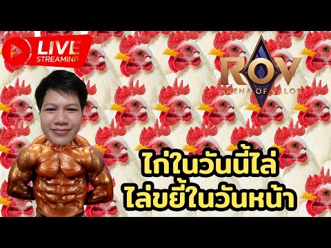 ไก่ในวันนี้ไล่ขยี้ในวันหน้า EP.25