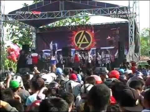 Mayasari NGAMEN 88