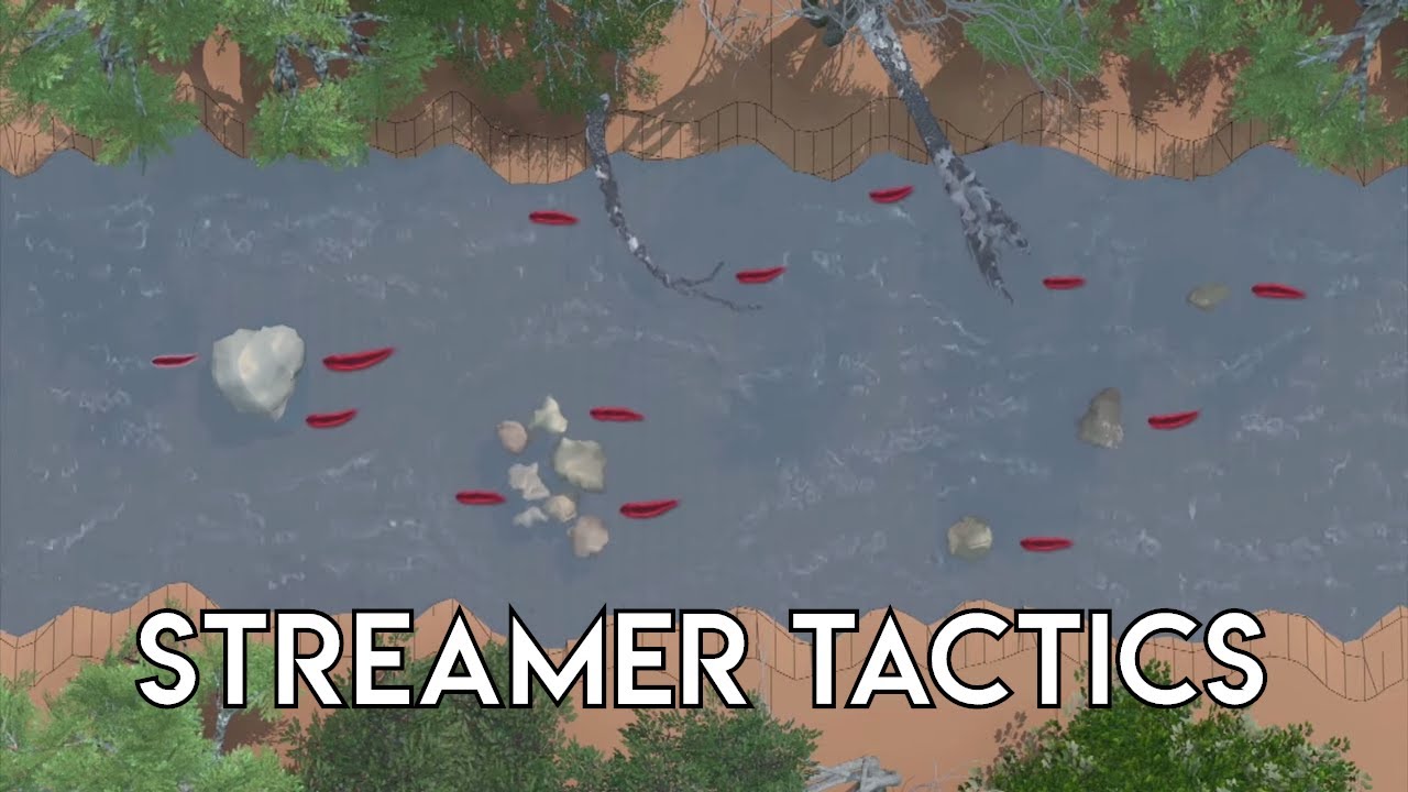 Streamer Tactics for Trout - The New Fly Fisher