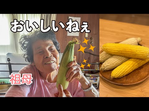 北海道からトウモロコシが届いたよ🌽✨