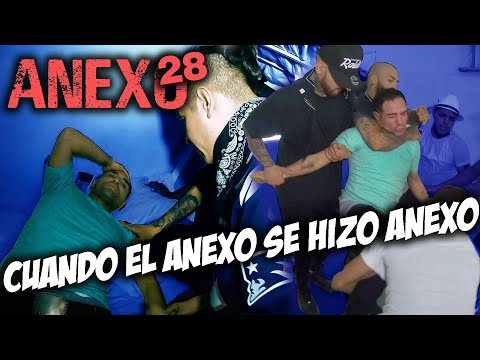 Anexo 28 │ Christian Meza