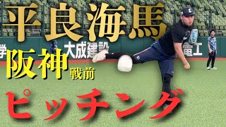 【野球練習】阪神戦試合前ピッチング